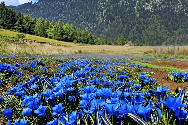 自然堂集团:用16年讲述喜马拉雅的可持续故事(图5)