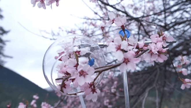 自然堂集团:用16年讲述喜马拉雅的可持续故事(图6)