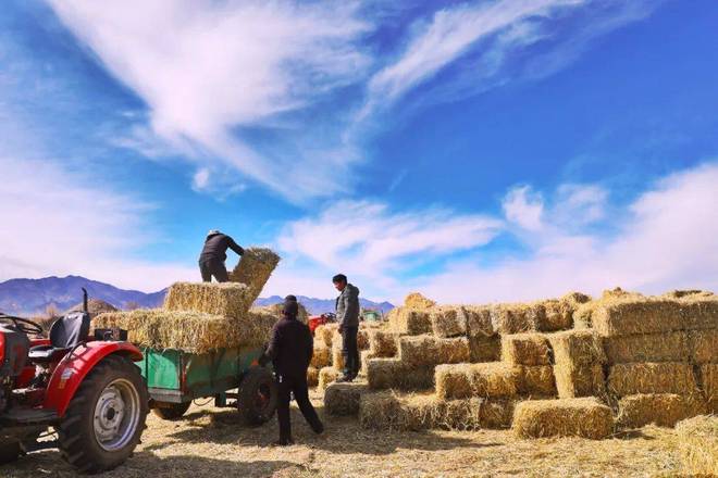 自然堂集团:用16年讲述喜马拉雅的可持续故事(图11)