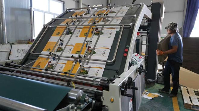 【新疆】和布克赛尔县:产业振兴有“盒”力从填补空白到年产值过百万(图1)