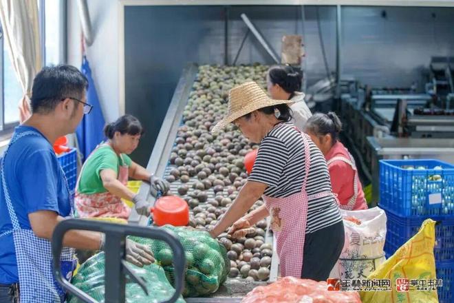 30亿!玉林这个水果网销占全国70%!(图1)