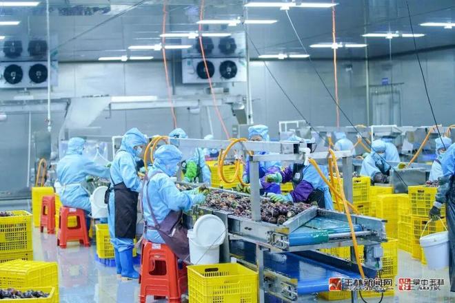 30亿!玉林这个水果网销占全国70%!(图2)