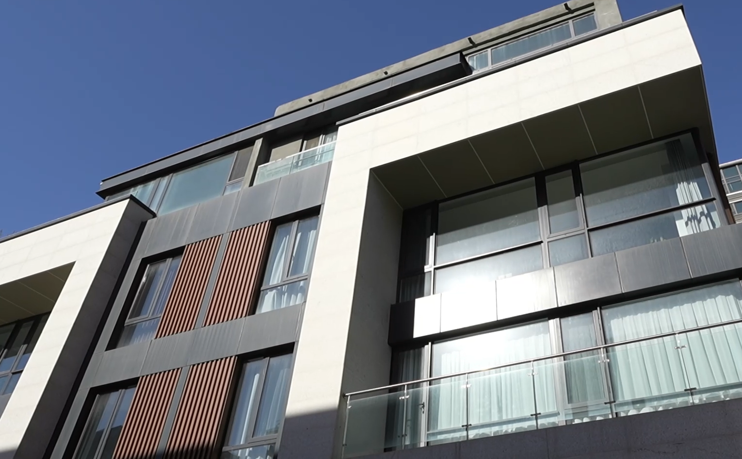 网聚泉城丨以AI重塑动漫生产济南企业打造“妖精宇宙”新IP(图1)