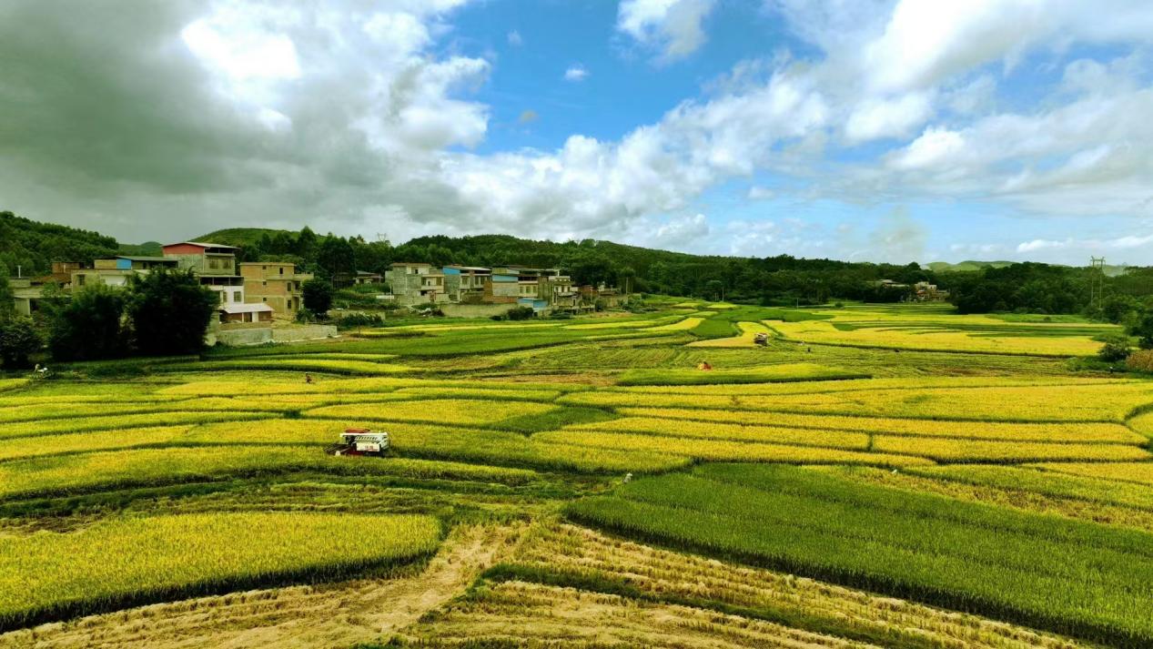 文化铸魂品牌赋能:国海证券“十四五”文化品牌建设全景回顾(图10)