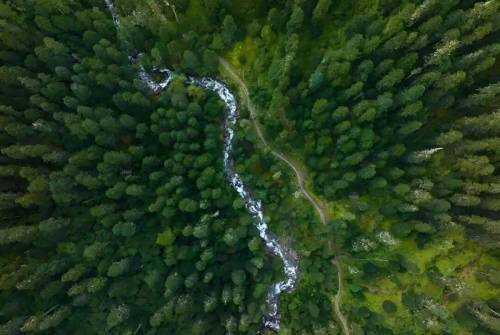 从自然到城市一场自然堂关于“美”的生态建设(图2)