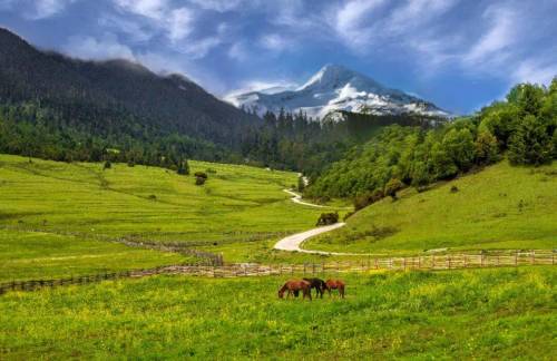 从自然到城市一场自然堂关于“美”的生态建设(图3)