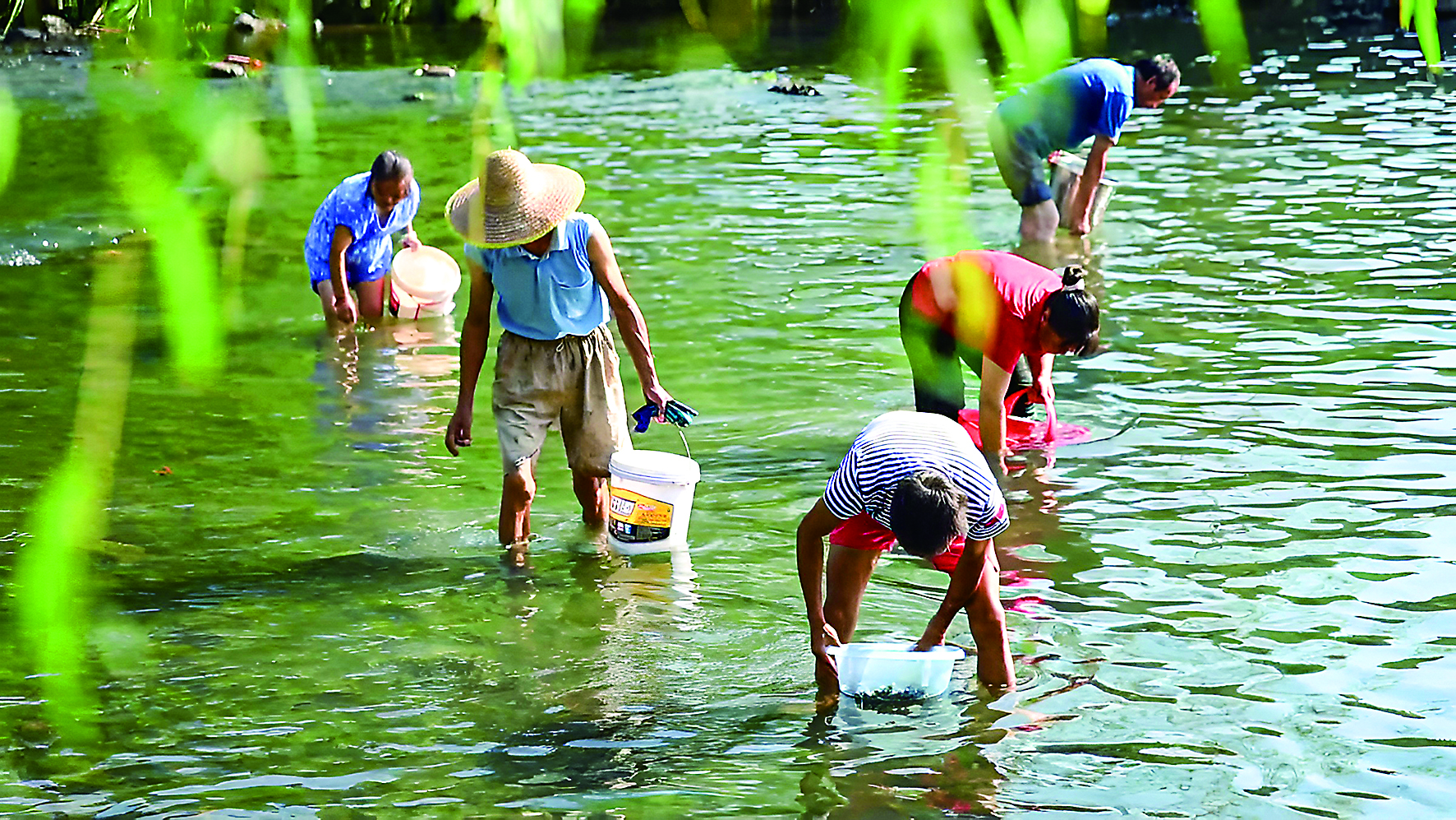 蹲点十村看乡村振兴再出发|新华蹲点调研(图1)