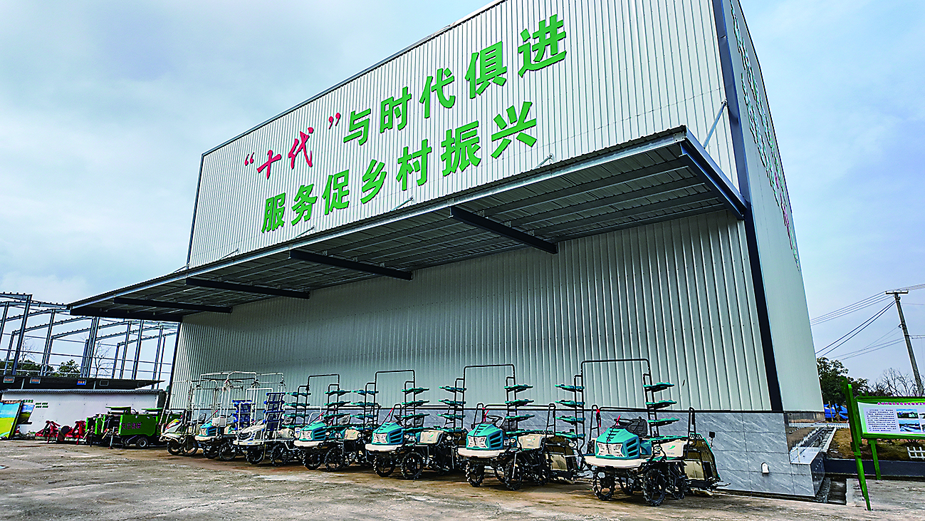 蹲点十村看乡村振兴再出发|新华蹲点调研(图4)