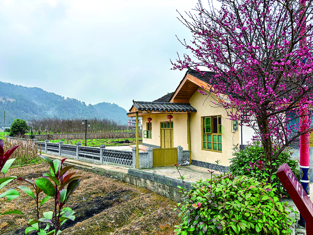 蹲点十村看乡村振兴再出发|新华蹲点调研(图6)