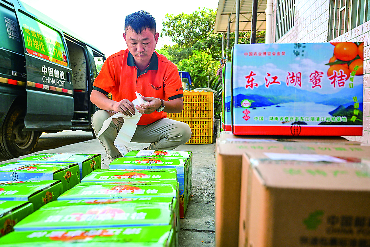 蹲点十村看乡村振兴再出发|新华蹲点调研(图10)